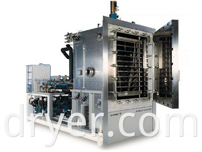 Fruit Freeze Drying Equipment